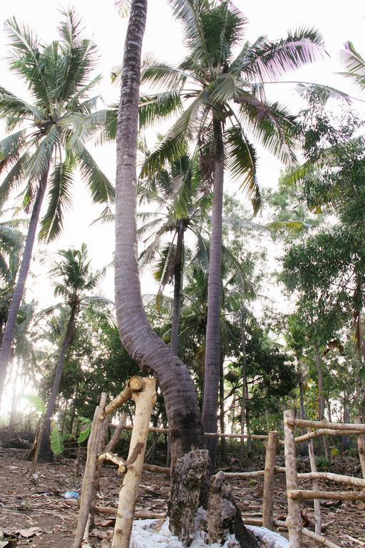 Nyuh Bengkok Tree House Otel Batununggul Dış mekan fotoğraf