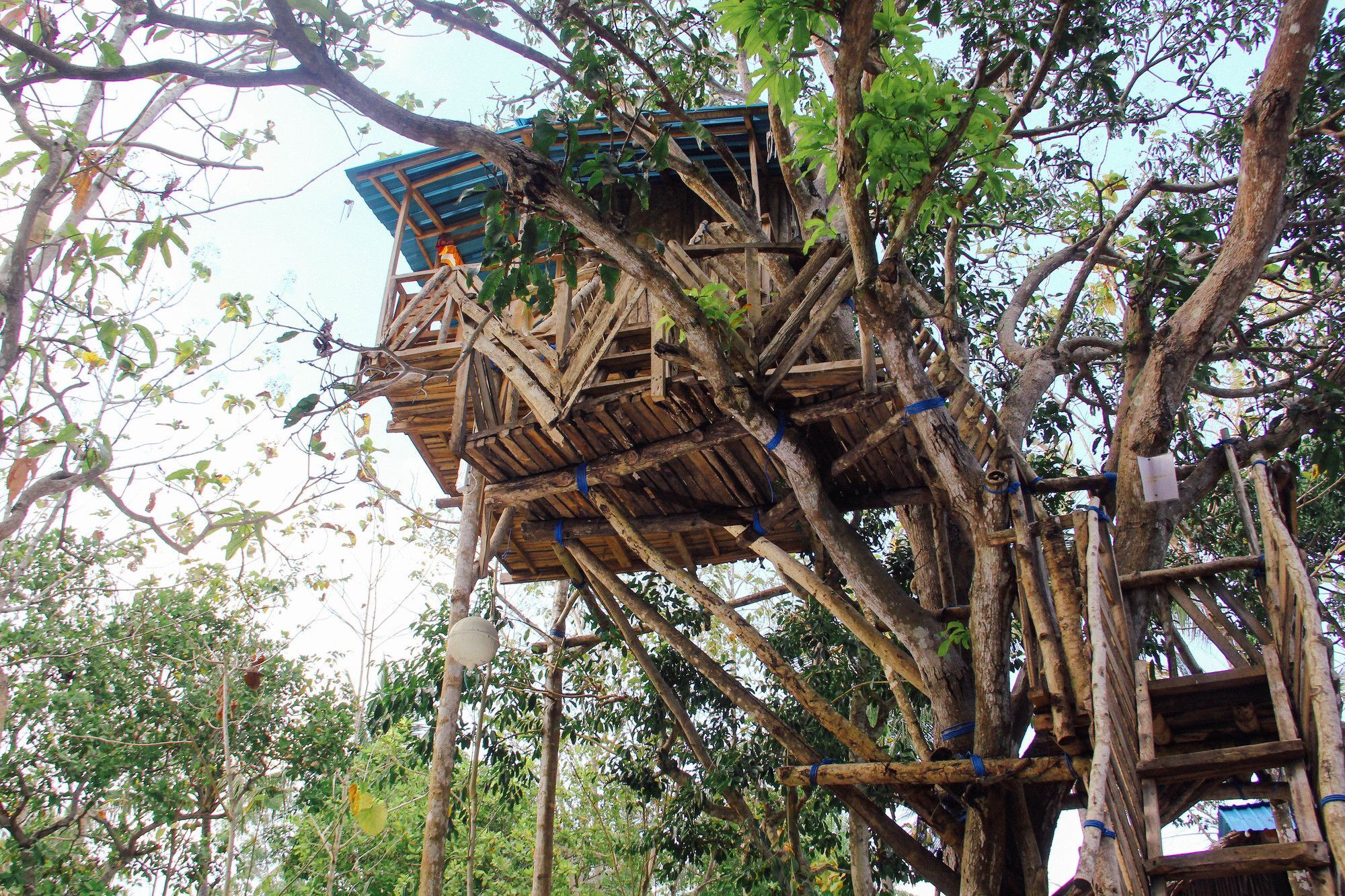 Nyuh Bengkok Tree House Otel Batununggul Dış mekan fotoğraf